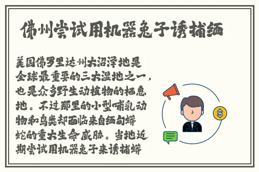 麻豆高清免费国产一区